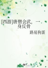 西游记唐僧会武功