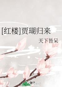 红楼贾瑚归来txt