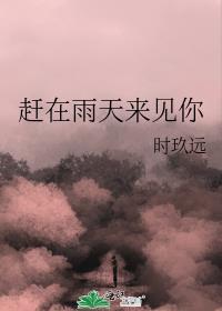 赶在雨天来见你番外篇免费阅读