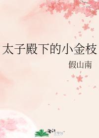 太子殿下的小金枝百度
