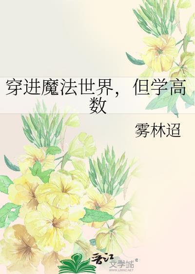 穿进魔法世界但学高数笔趣阁