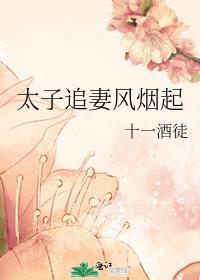 太子追妻风烟起结局