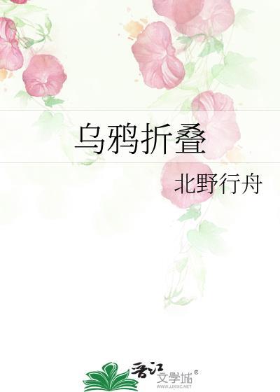 乌鸦折叠北野行舟TXT