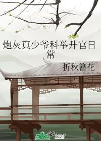 炮灰真少爷科举升官日常主角是谁