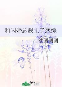 和闪婚总裁上恋综笔趣阁