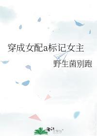 穿成女配a标记女主 番外
