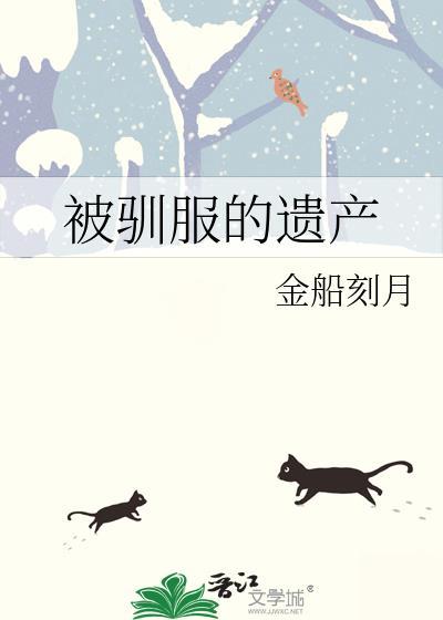 被驯服的遗产汉化40