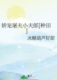 娇宠屠夫小夫郎种田冰糖葫芦笔趣阁