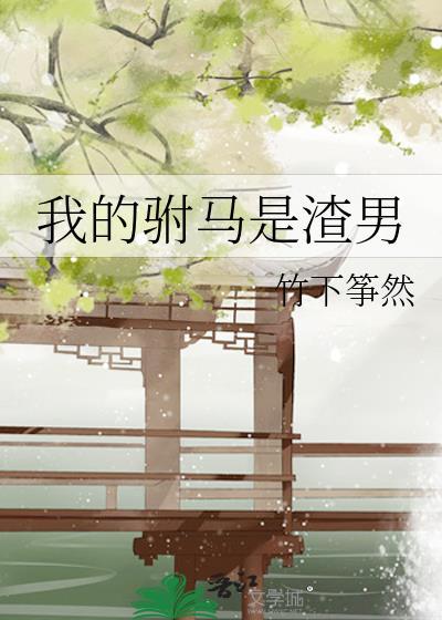 我的驸马是什么意思