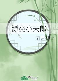 漂亮小夫郎txt