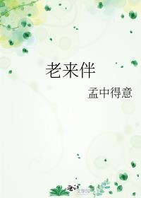 老来伴重要性的句子