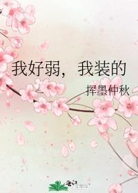 我装的99