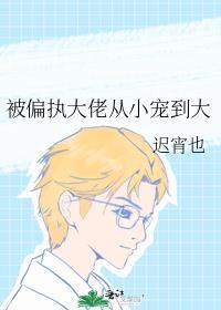 被偏执大佬抱走了