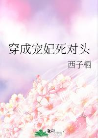 穿成宠妃死对头番外