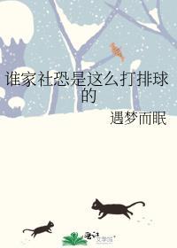 谁家社恐是这么打排球的作者遇梦而眠
