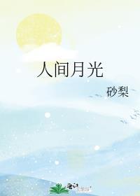 人间月光 砂梨 免费