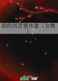 朕的将军是凤君 女尊