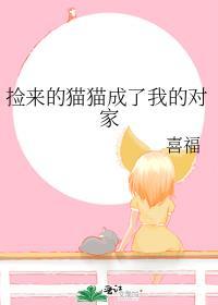 捡回来的猫儿变成