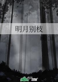 明月别枝惊鹊的别枝是什么意思