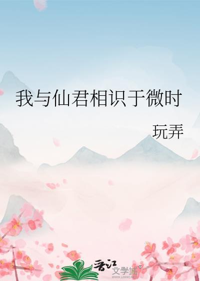我和仙晟君的故事