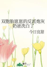 帝师攻略晏安酌免费阅读
