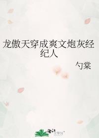 龙傲天穿成爽文炮灰经纪人 番外