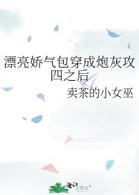 漂亮娇气包穿成炮灰攻四之后卖