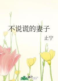 不说谎的女人电视剧
