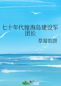 七零年代嫁军人