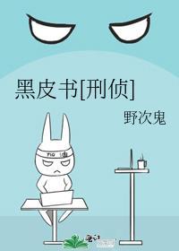 黑皮书刑侦TXT