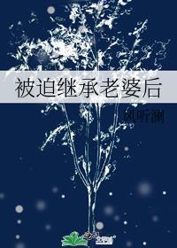 被迫继承老婆后风清澄免费阅读