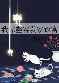 我靠整容发家致富免费阅读