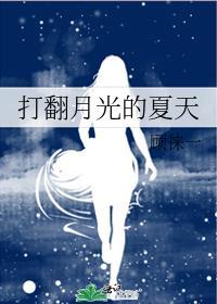打翻月光的夏天在线阅读
