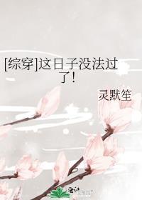 [综穿