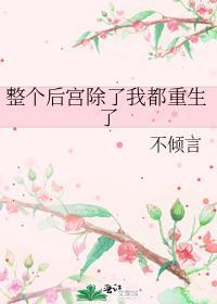 全后宫都出来了