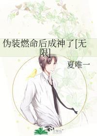 伪装燃命后成神了[无限