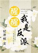醒醒我是反派格格党