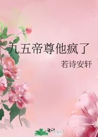 九五帝尊他疯了若诗安轩