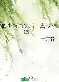 假少爷消失后真少爷疯了是be妈