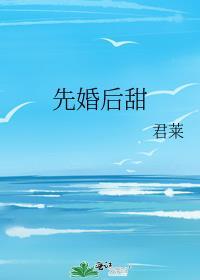 先婚后恋甜宠文