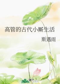 高管的古代小厮生活类似文
