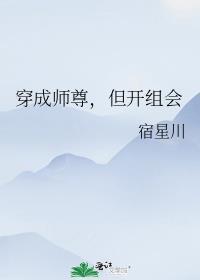 穿成师尊但开组会攻是谁