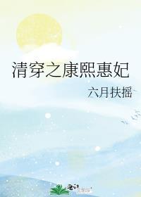 清穿之康熙慧妃的躺赢人生