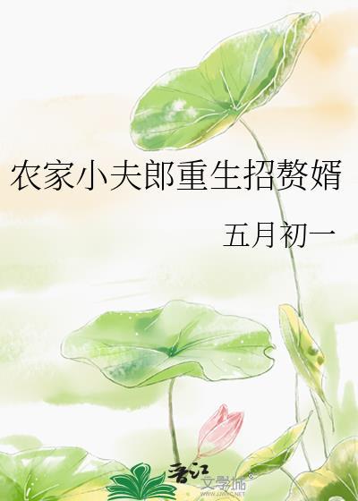 农家小夫郎重生招赘婿by五月初一