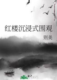 红楼沉浸式围观顶点