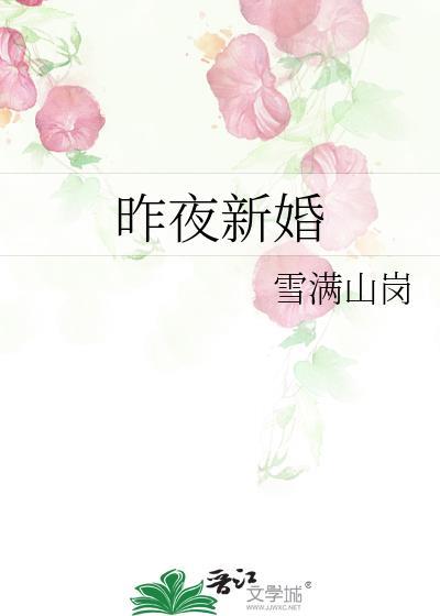 昨夜新婚作者雪满山岗txt