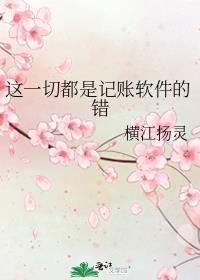 这一切都是记账软件的错百度