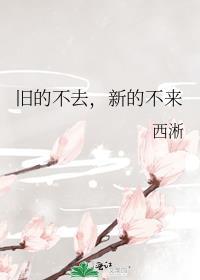 旧的不去新的不来英语翻译