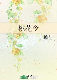 桃花令睡芒讲的什么