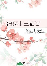 清穿13福晋